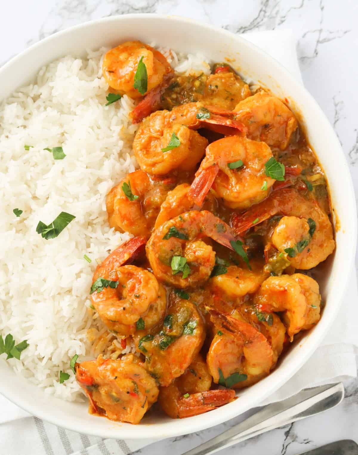 Shrimp Curry with Rice